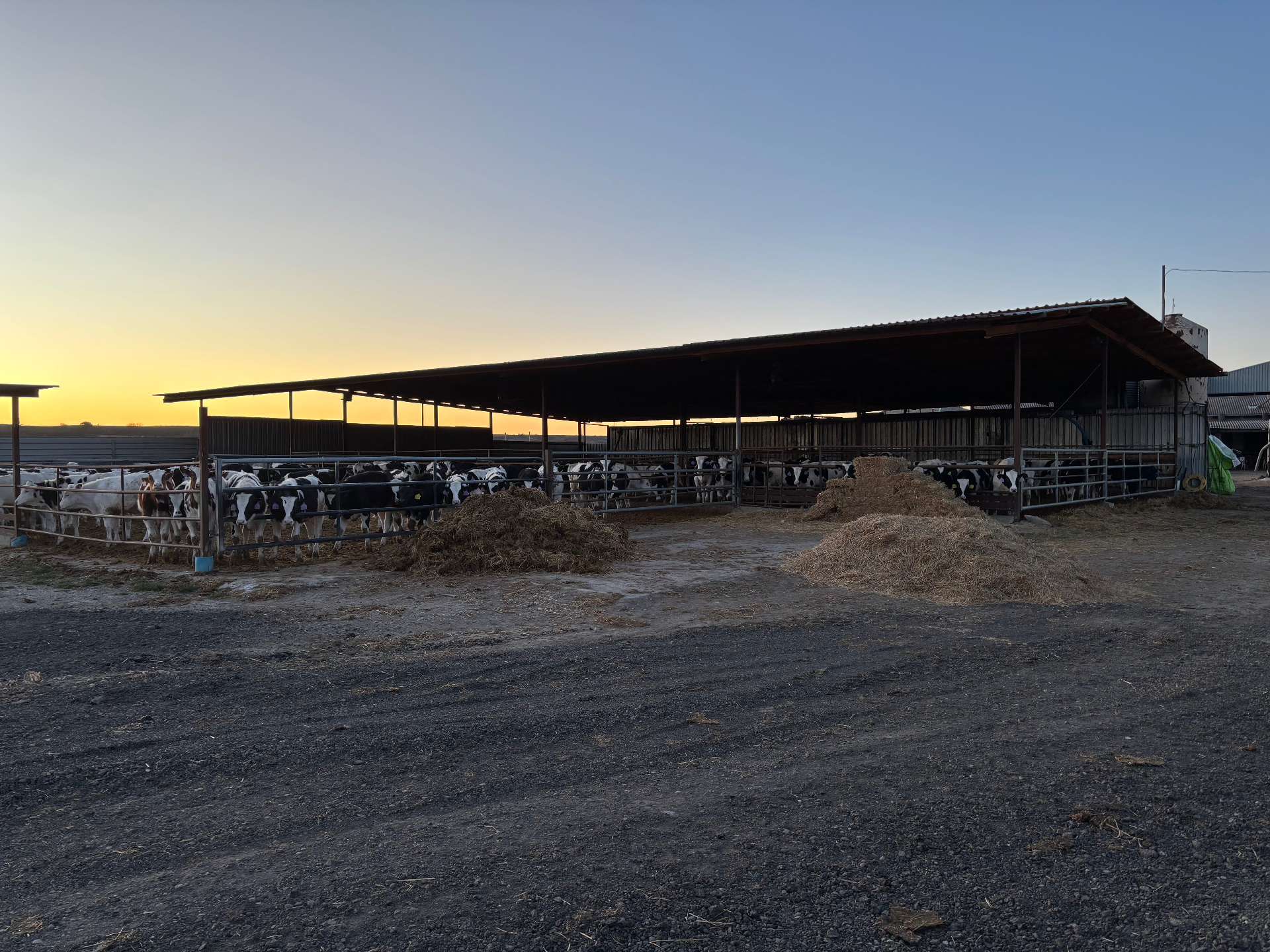 Instalaciones Agro-Dalfó 13